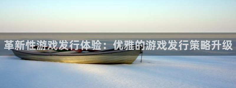 亿万28智邦(北京)品牌策划有限公司：革新性游戏发行体验：优雅的游戏发行策略升级