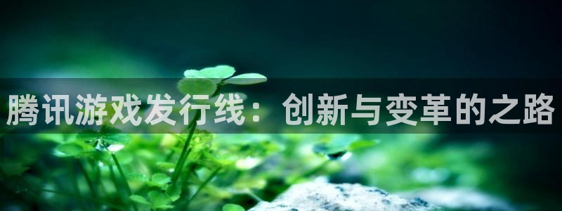 亿万28官网登录注册账号失败怎么回事：腾讯游戏发行线：创新与变革的之路