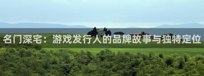 广州亿万28投资管理顾问有限公司：名门深宅：游戏发行人的品牌故事与独特定位