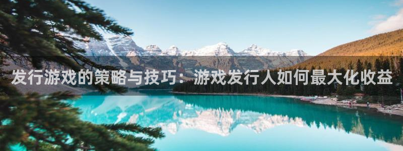 亿万28电子商务有限公司怎么样知乎：发行游戏的策略与技巧：游戏发行人如何最大化收益