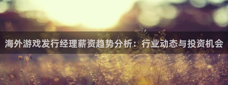 亿万28官网游戏：海外游戏发行经理薪资趋势分析：行业动态与投资机会
