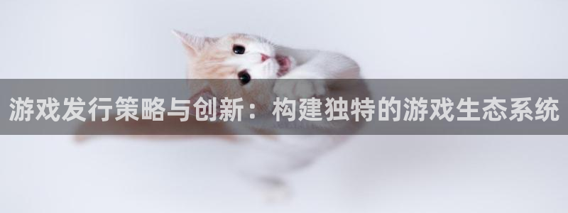 亿万28电子商务：游戏发行策略与创新：构建独特的游戏生态系统