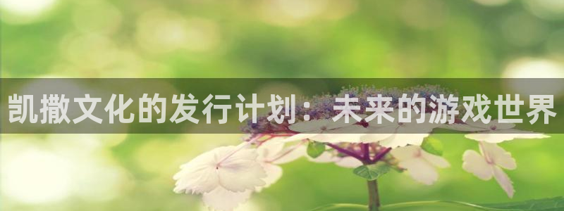 亿万28官网注册方法是什么：凯撒文化的发行计划：未来的游戏世界