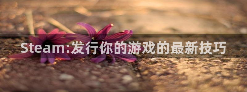亿万28电子商务怎么样：Steam:发行你的游戏的最新技巧