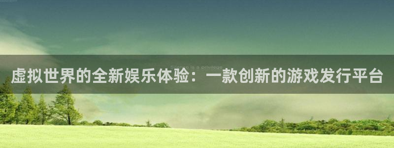 亿万28防水的质量怎么样：虚拟世界的全新娱乐体验：一款创新的游戏发行平台