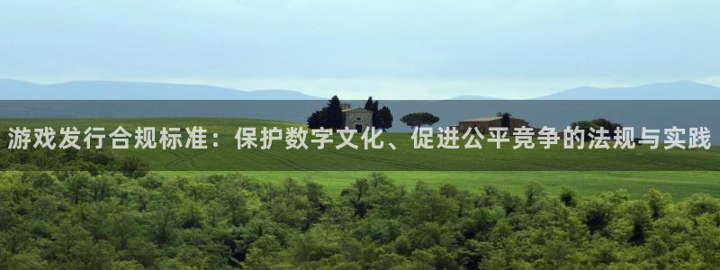 亿万28技术有限公司官网：游戏发行合规标准：保护数字文化、促进公平竞争的法规与实践