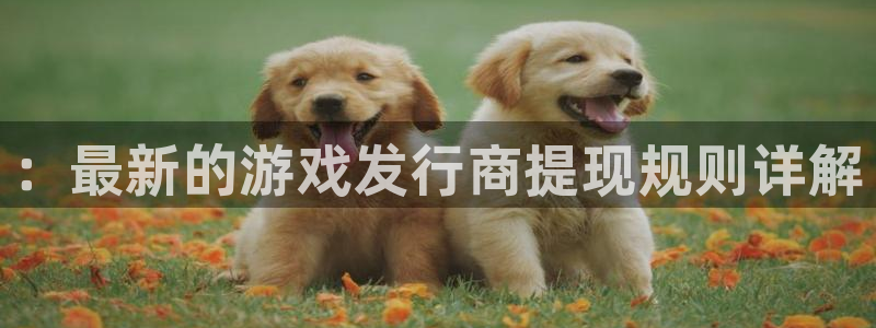 亿万28官网客服服务电话号码：：最新的游戏发行商提现规则详解