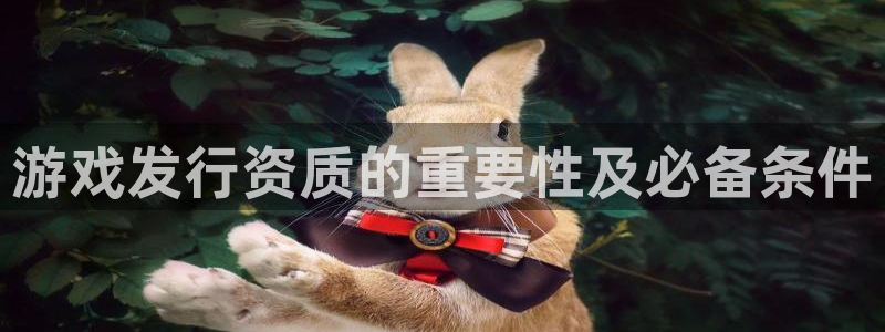 亿万28电商怎么样知乎：游戏发行资质的重要性及必备条件