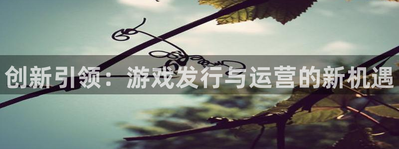 亿万28男装品牌：创新引领：游戏发行与运营的新机遇