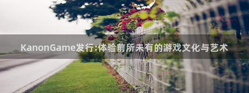 亿万28官网客服电话：KanonGame发行:体验前所未有的游戏文化与艺术