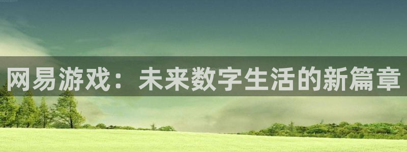亿万28官网注册方法：网易游戏：未来数字生活的新篇章