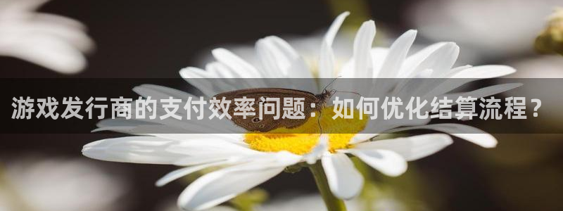 亿万28官网注册方法有哪些软件：游戏发行商的支付效率问题：如何优化结算流程？