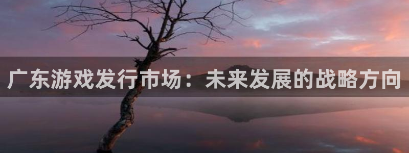 亿万28官网注册平台官网下载：广东游戏发行市场：未来发展的战略方向
