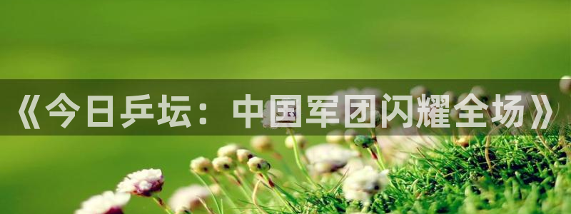 鲸鱼tv直播：《今日乒坛：中国军团闪耀全场》