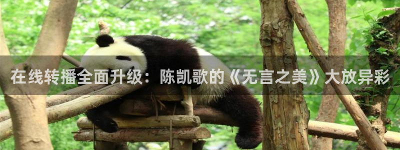 鲸鱼体育在线直播免费：在线转播全面升级：陈凯歌的《无言之美》大放异彩