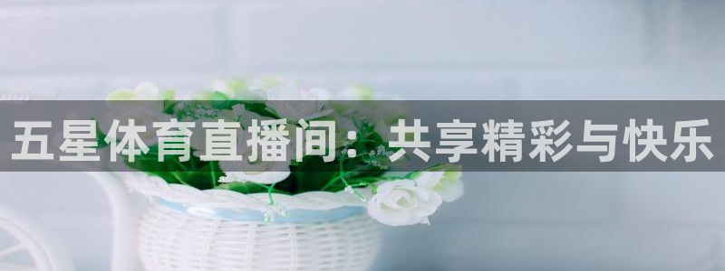鲸鱼体育直播在线观看：五星体育直播间：共享精彩与快乐