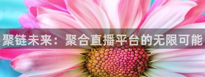 鲸鱼体育直播免费观看：聚链未来：聚合直播平台的无限可能