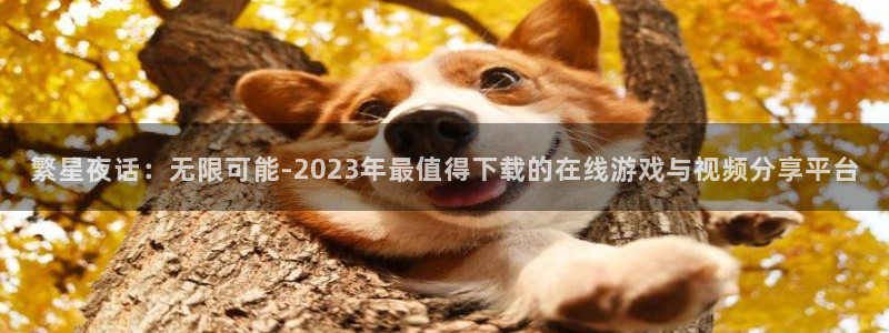 鲸鱼体育tv直播：繁星夜话：无限可能-2023年最值得下载的在线游戏与视频分享平台