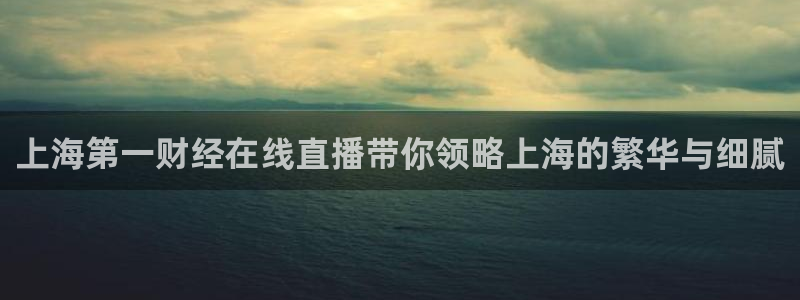 nba鲸鱼体育：上海第一财经在线直播带你领略上海的繁华与细腻