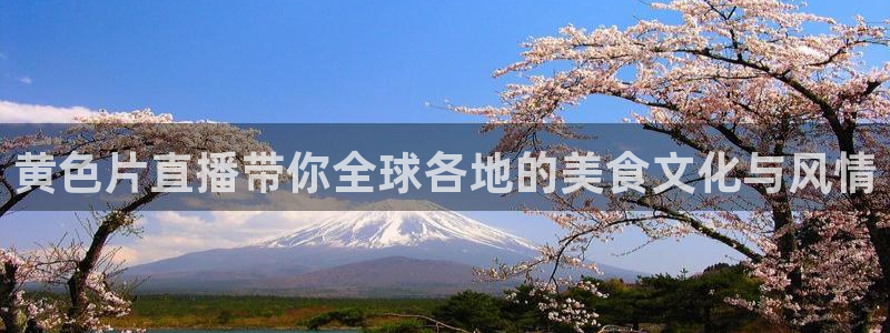鲸鱼体育直播官网：黄色片直播带你全球各地的美食文化与风情